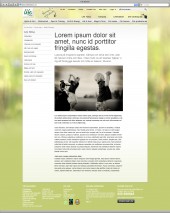 A very nice, if I say so myself, text page